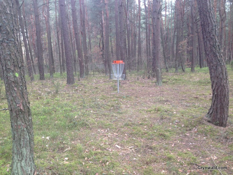 Grynwald Disc Golf Hole nr.6 Target
